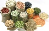 گرانی حبوبات زیر سایه صادرات بی‌رویه