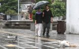 کاهش محسوس دما در نوار شمالی کشور