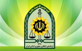توضیح پلیس درباره بازداشت یک بازیگر معروف