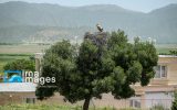 زندگی کنیم نه فقط زنده بمانیم زندگی کنیم نه فقط زنده بمانیم