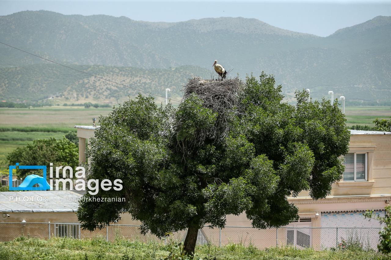 زندگی کنیم نه فقط زنده بمانیم زندگی کنیم نه فقط زنده بمانیم