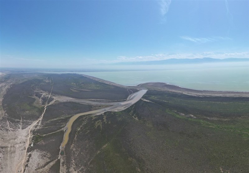 مرثیه‌‌ای برای خلیج گرگان که نفس‌های آخر را می‌کشد