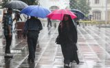 بارش باران و کاهش دما در نوار شمالی کشور
