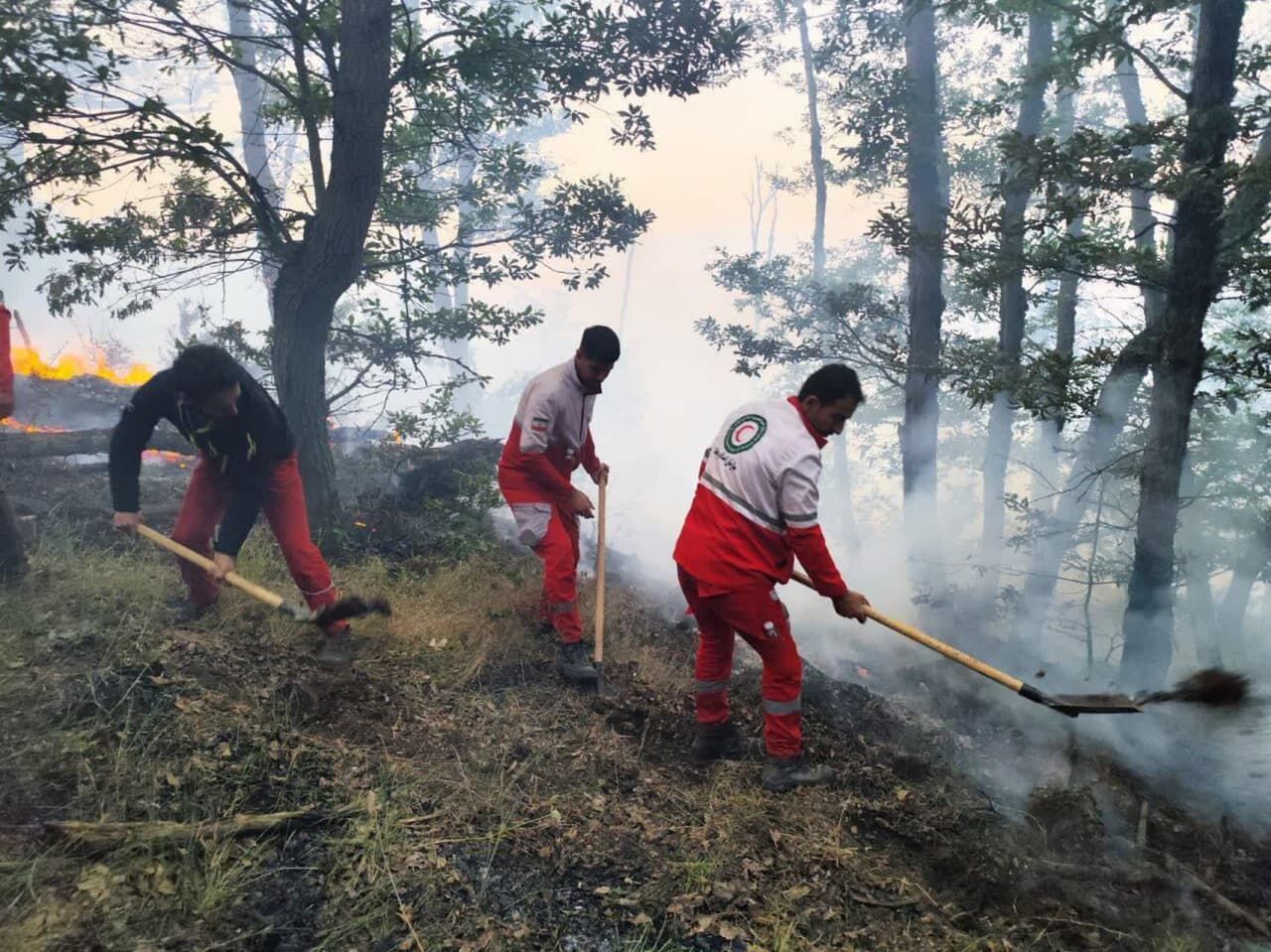 توقف گسترش آتش‌سوزی در الیت چالوس پس از ۸روز
