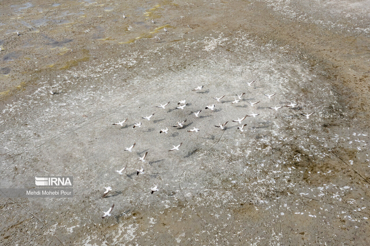 آبی برای فرود نیست