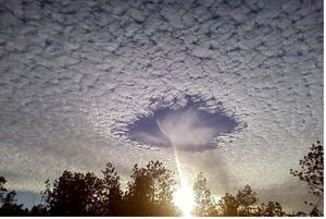 سواد خبری؛ سپر جامعه در برابر شایعات علمی