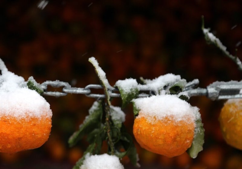 هواشناسی ایران ۱۴۰۴/۹/۱۹ هواشناسی ایران ۱۴۰۴/۹/۱۹