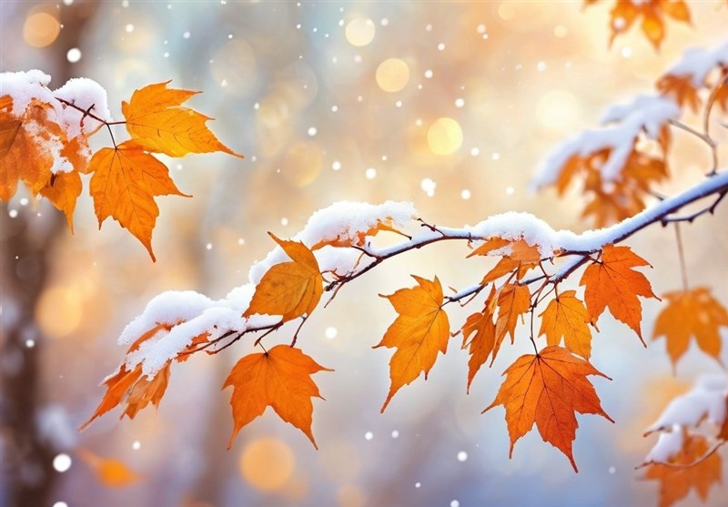 هواشناسی ایران ۱۴۰۴/۹/۱۸ هواشناسی ایران ۱۴۰۴/۹/۱۸