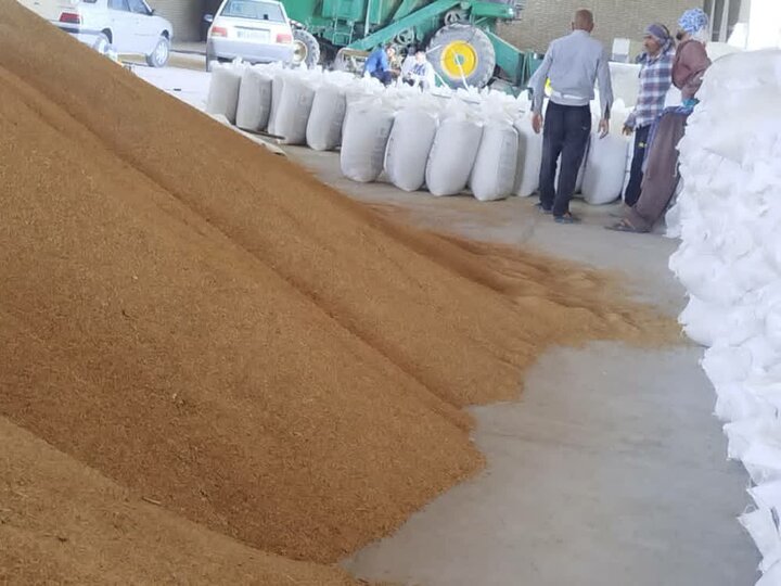 ضربه اطلاعات سپاه به اخلالگران بازار ضربه اطلاعات سپاه به اخلالگران بازار