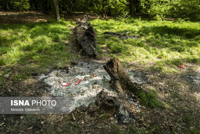 هیرکانی در اضطراب آتش بیتوجهی میسوزد هیرکانی در اضطراب آتش بیتوجهی میسوزد